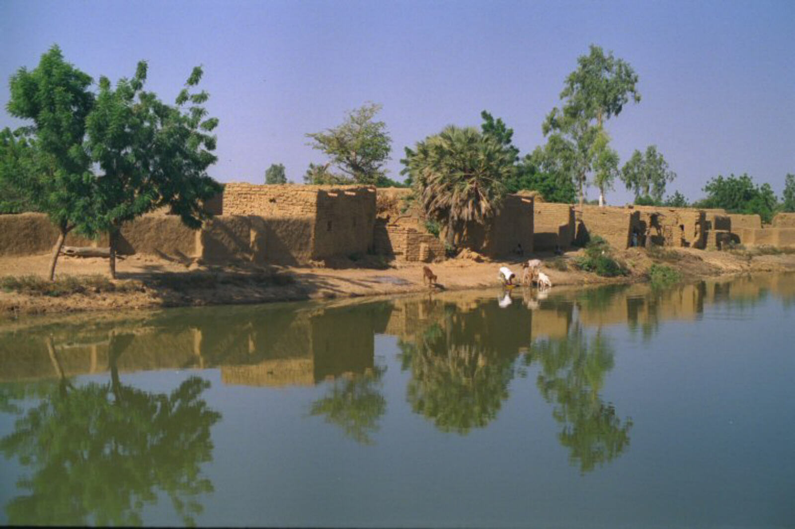 A village waterfront on the Niger river