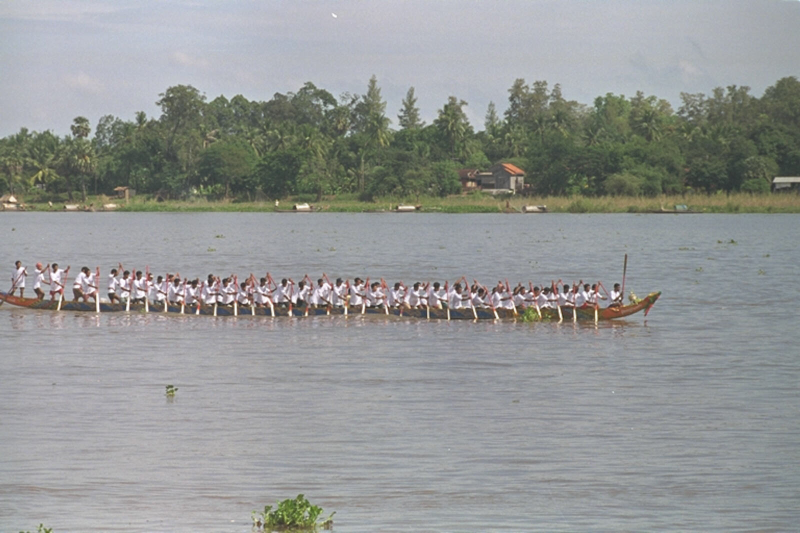 Rowing team practicing on the Tonle Sap river in Phnom Penh, Cambodia