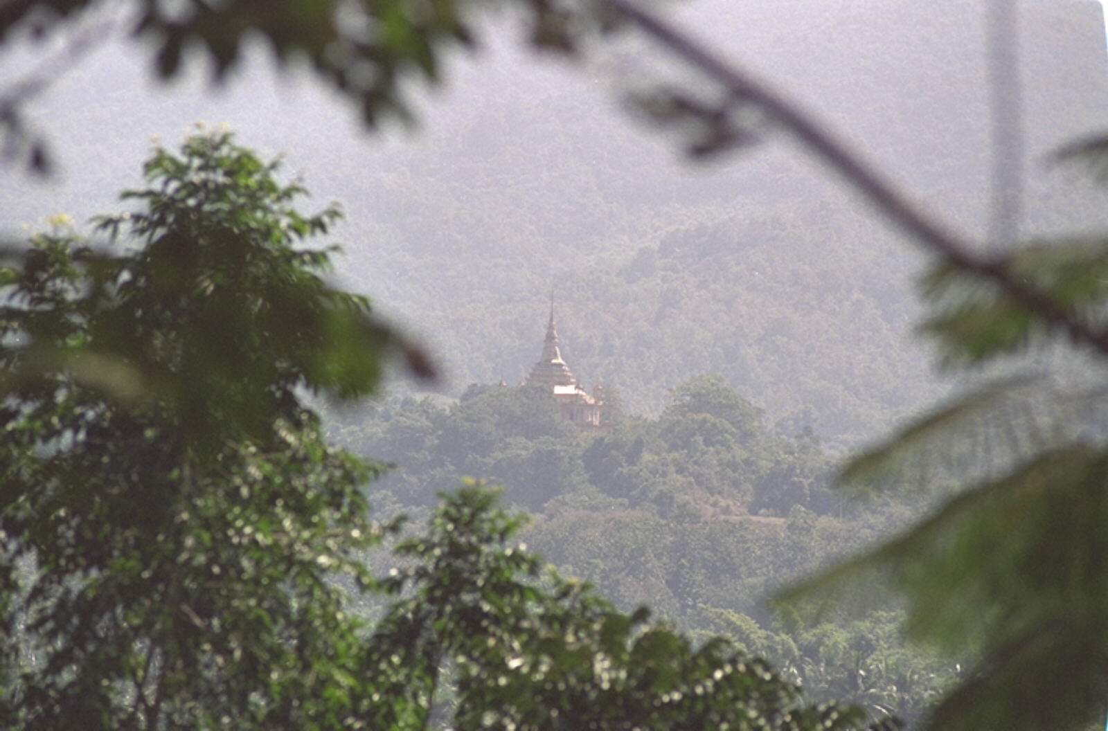 View of temple and jungle from Phu Si hill in Luang Phabang, Laos