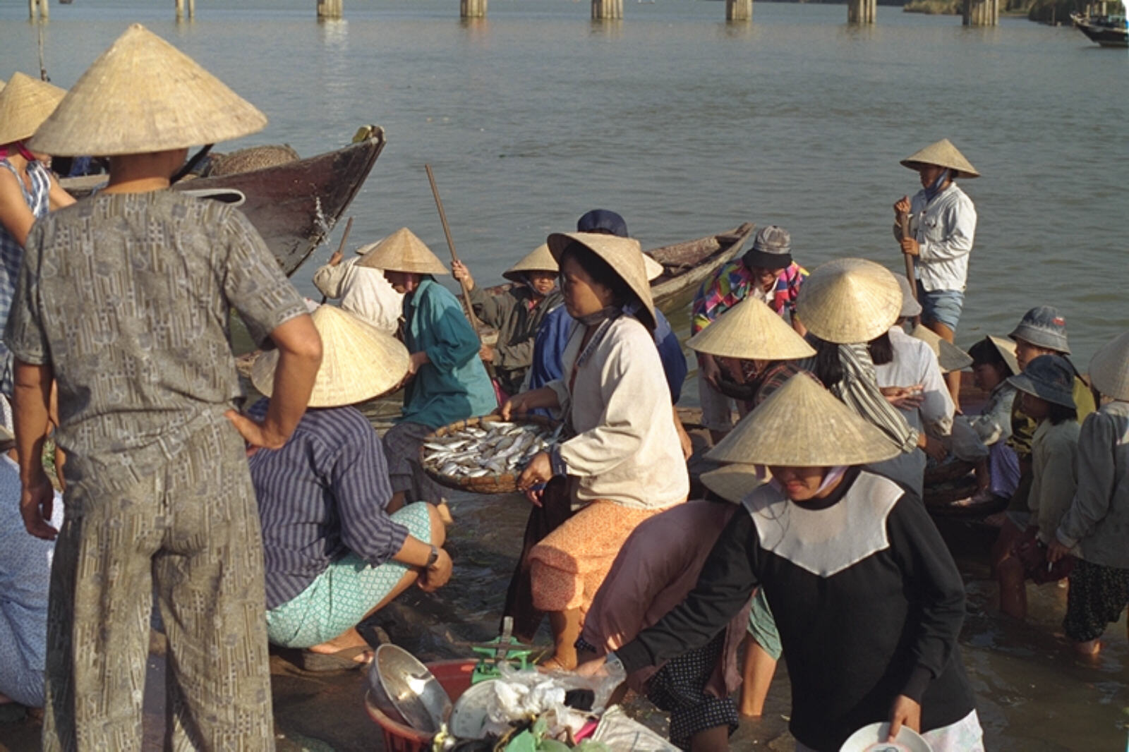 Unloading fish by the market at Hoi An, Vietnam