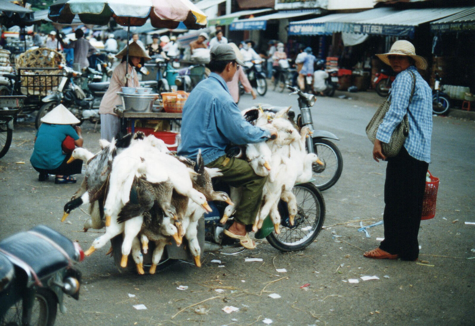 Ducks on a bike in Cholon, Saigon, Vietnam