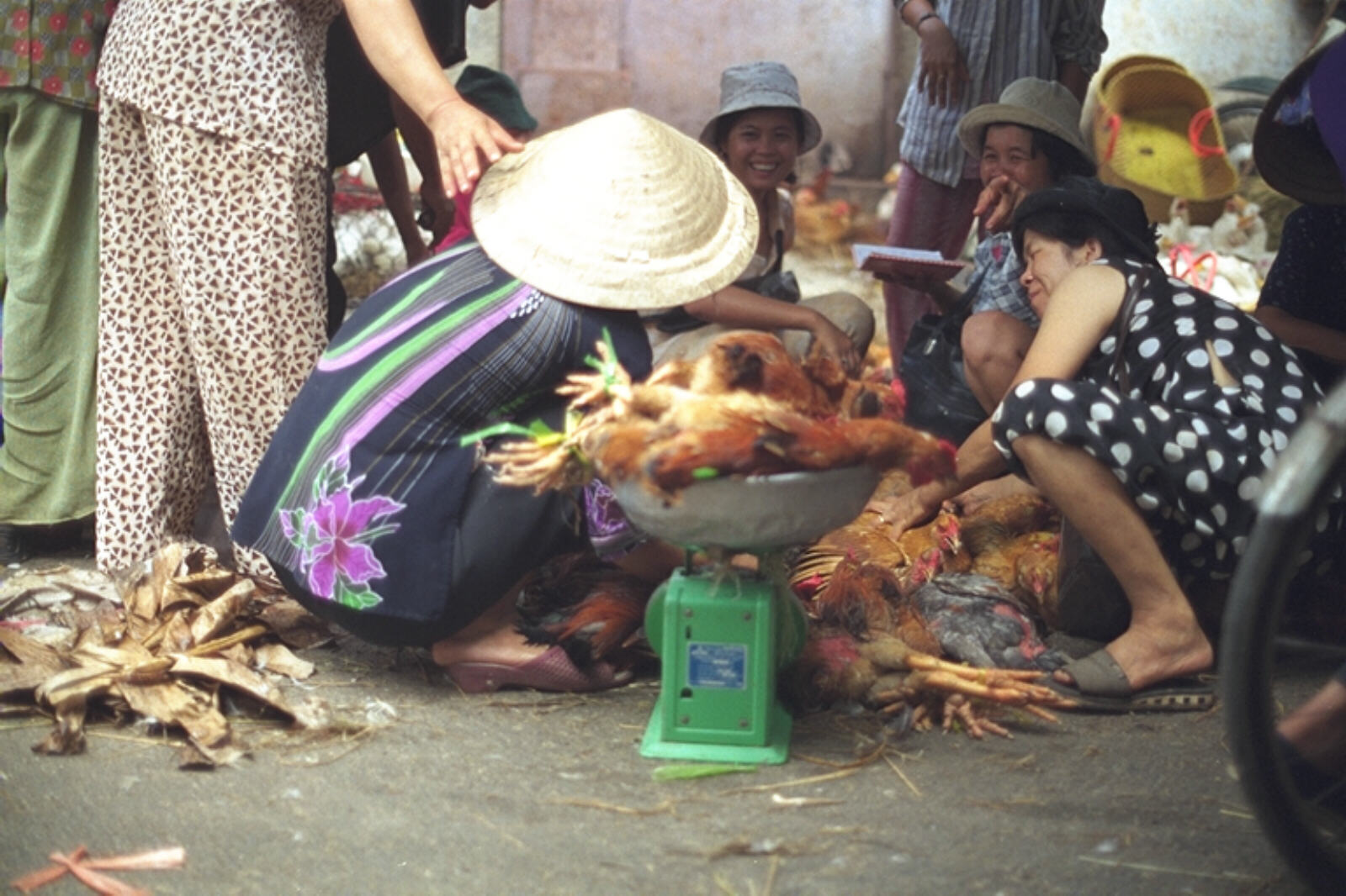 Weighing live chickens in the market in Chinatown, Saigon