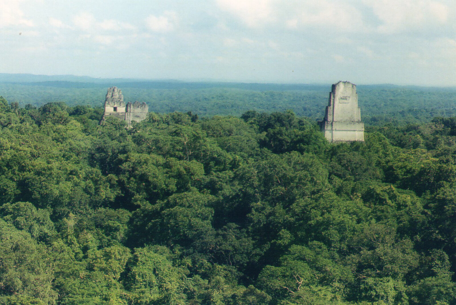 Temples rising above the jungle canopy at Tikal, Guatemala