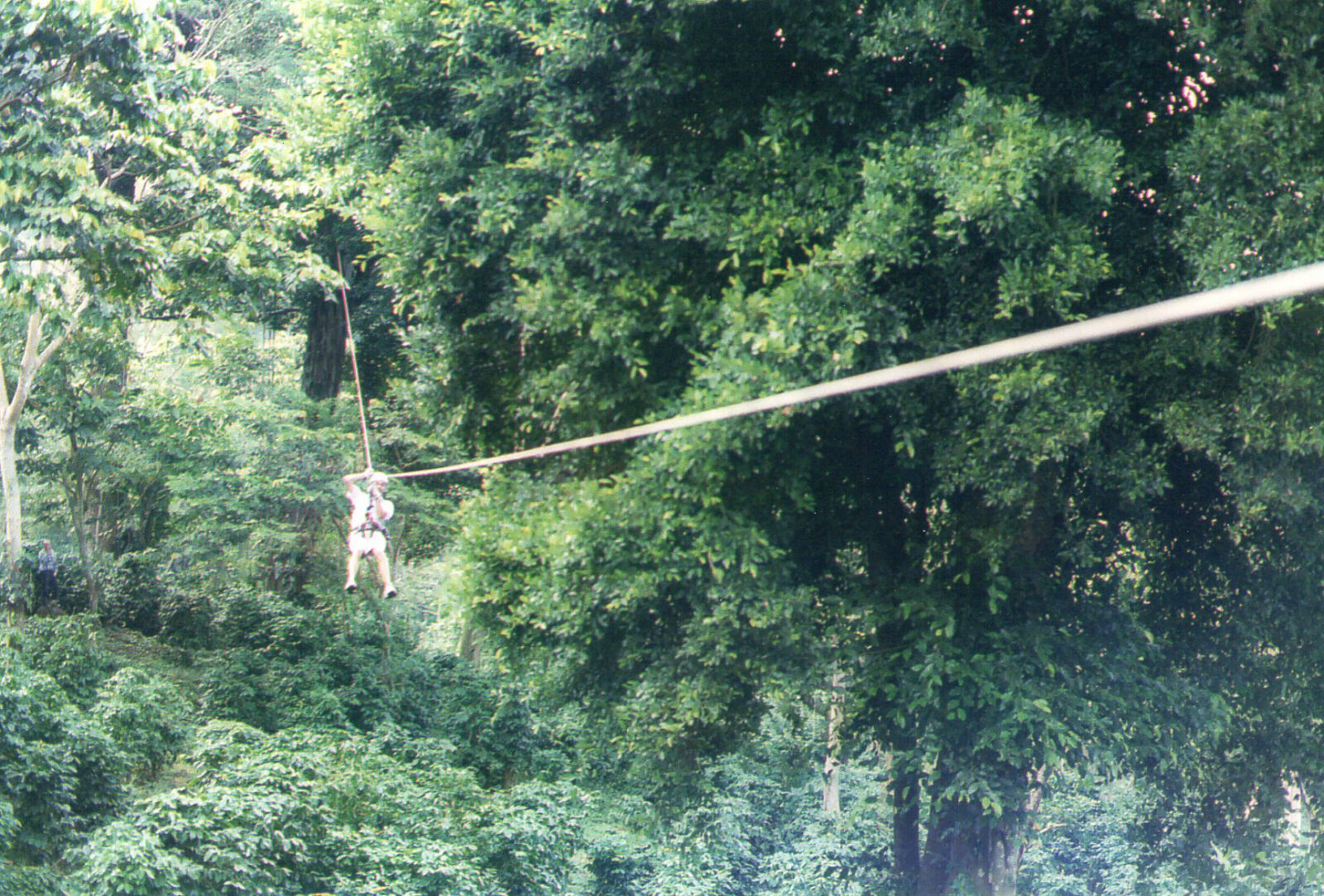 On the rain forest canopy tour at Cutirre near Grenada, Nicaragua