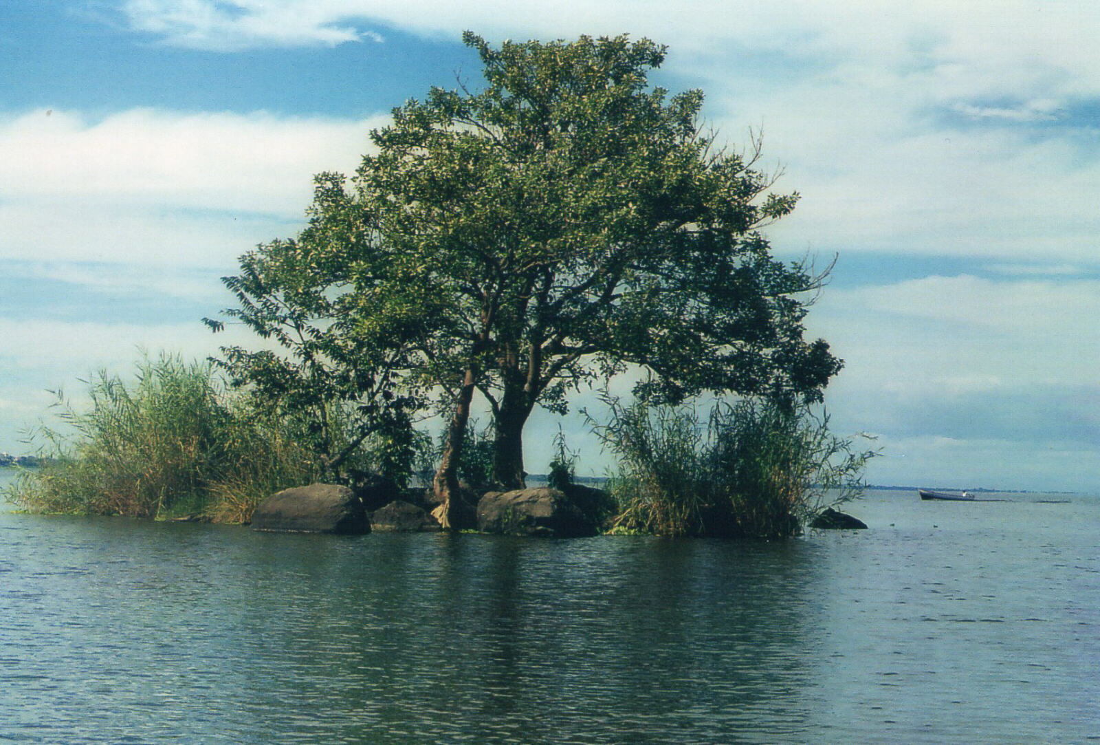 One of Las Isletas in the lake at Grenada, Nicaragua