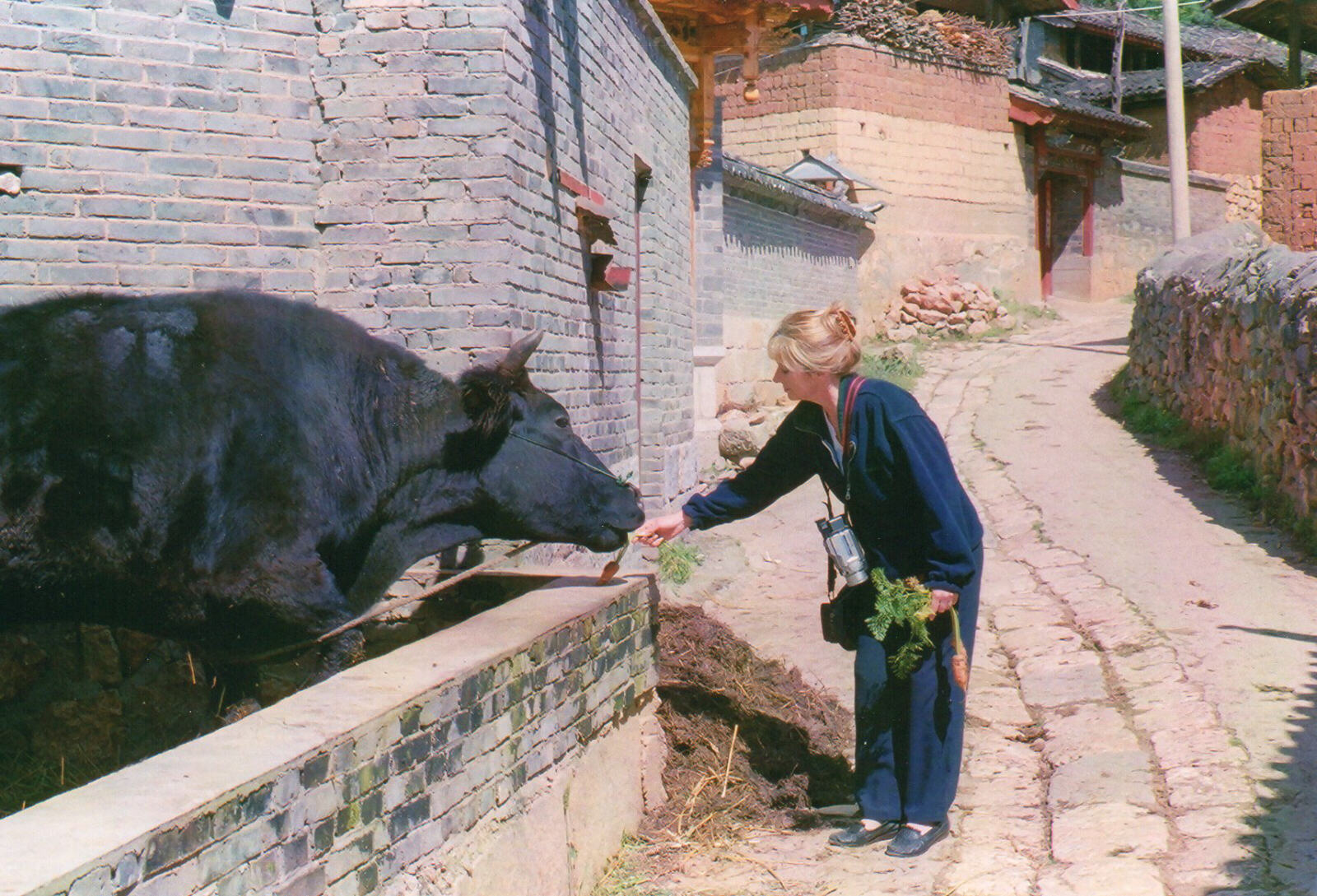 A farmyard in Shuhe old town, Yunnan, China