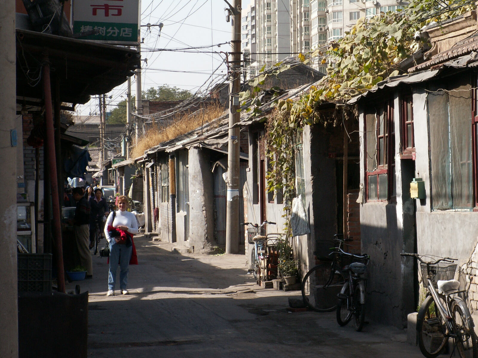 In the hutongs (back alleys) of Beijing