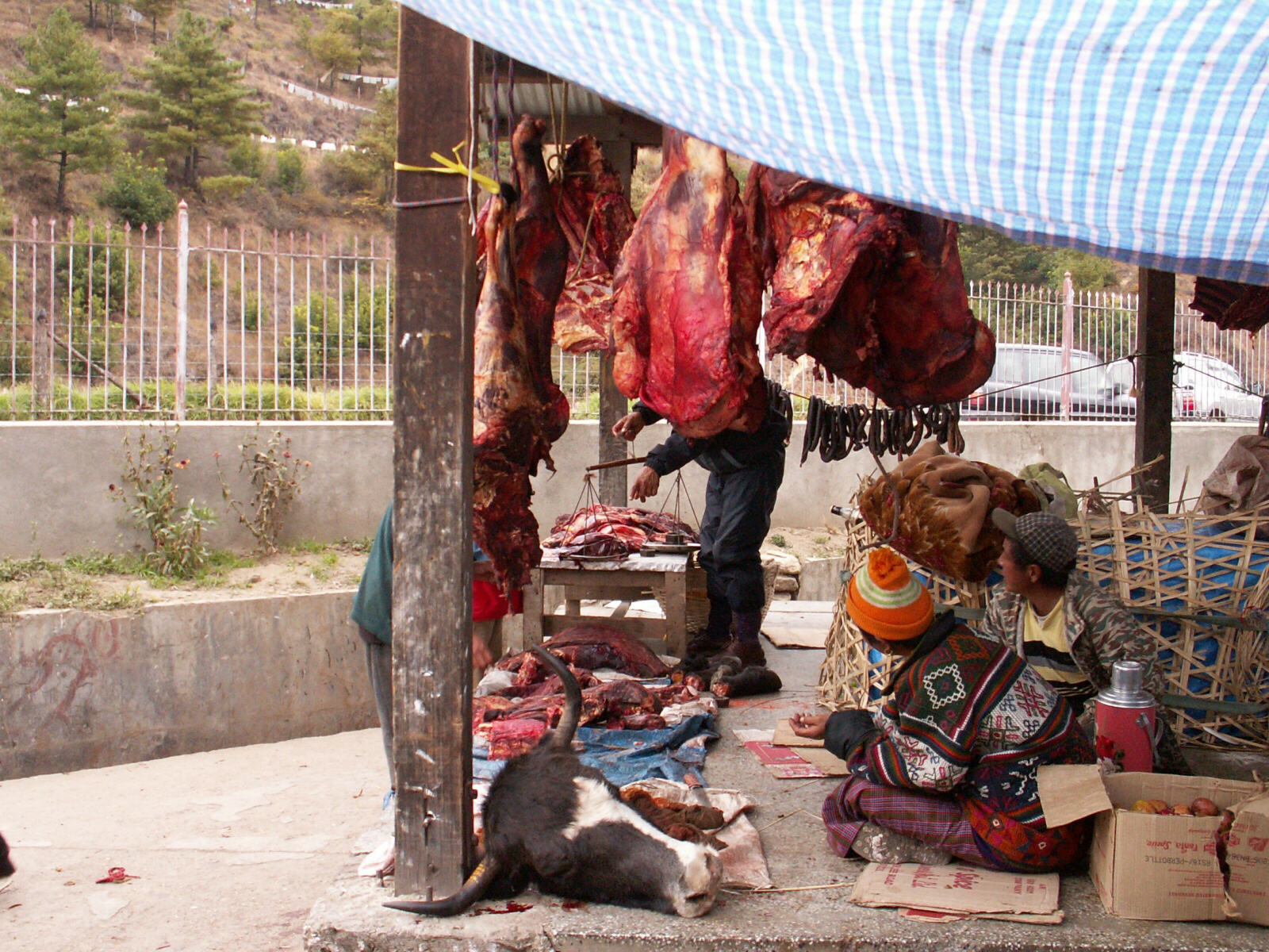 In the meat market in Thimpu, Bhutan