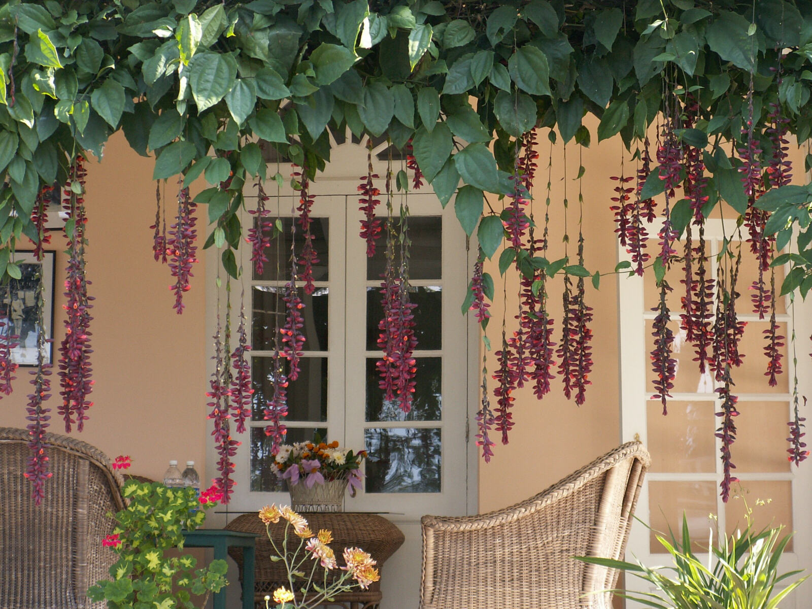 The verandah of the Burra Bungalow at Glenburn Tea Estate near Darjeeling, India