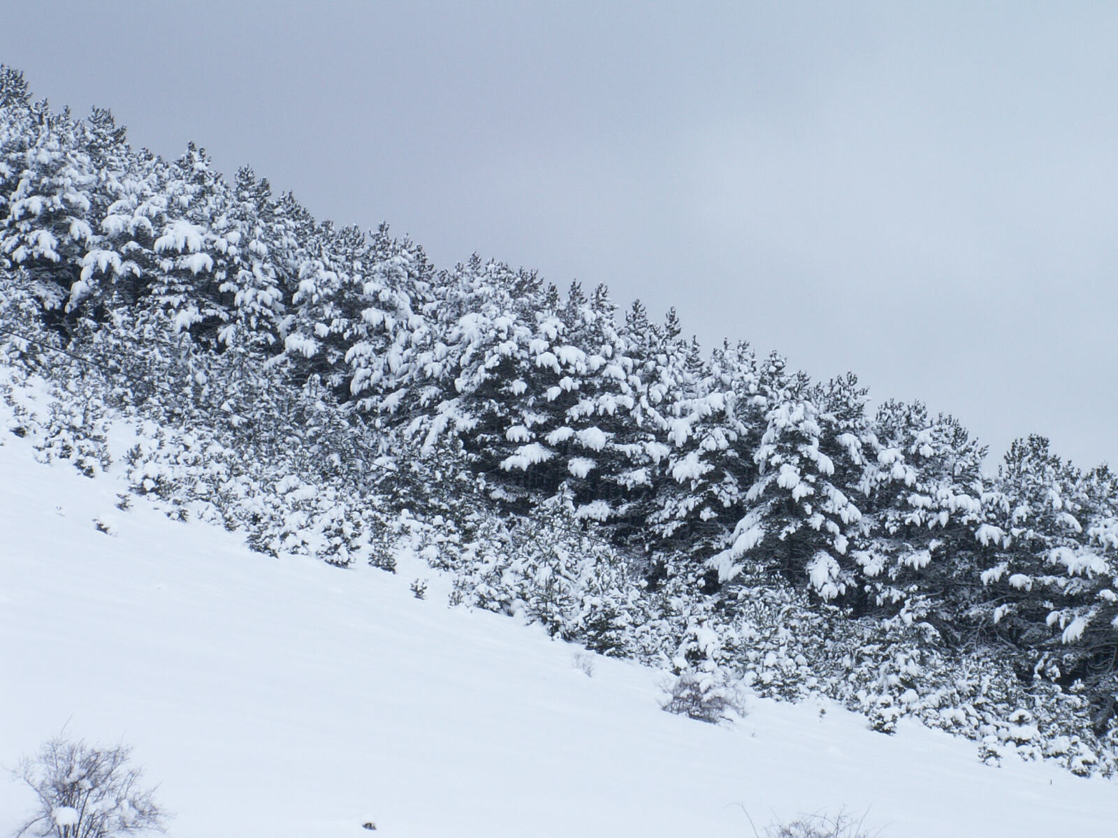 Snowy mountains in Croatia near the Bosnia border