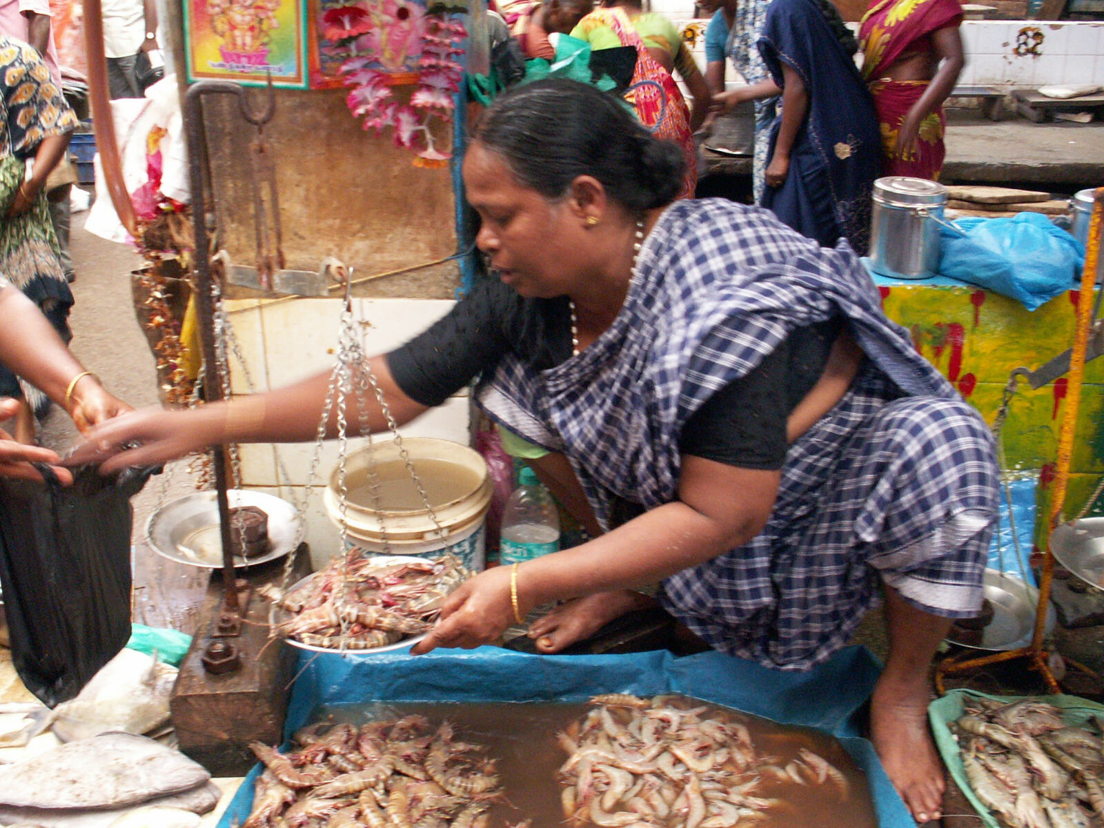 Big tiger prawns at the fish market in Pondicherry, India