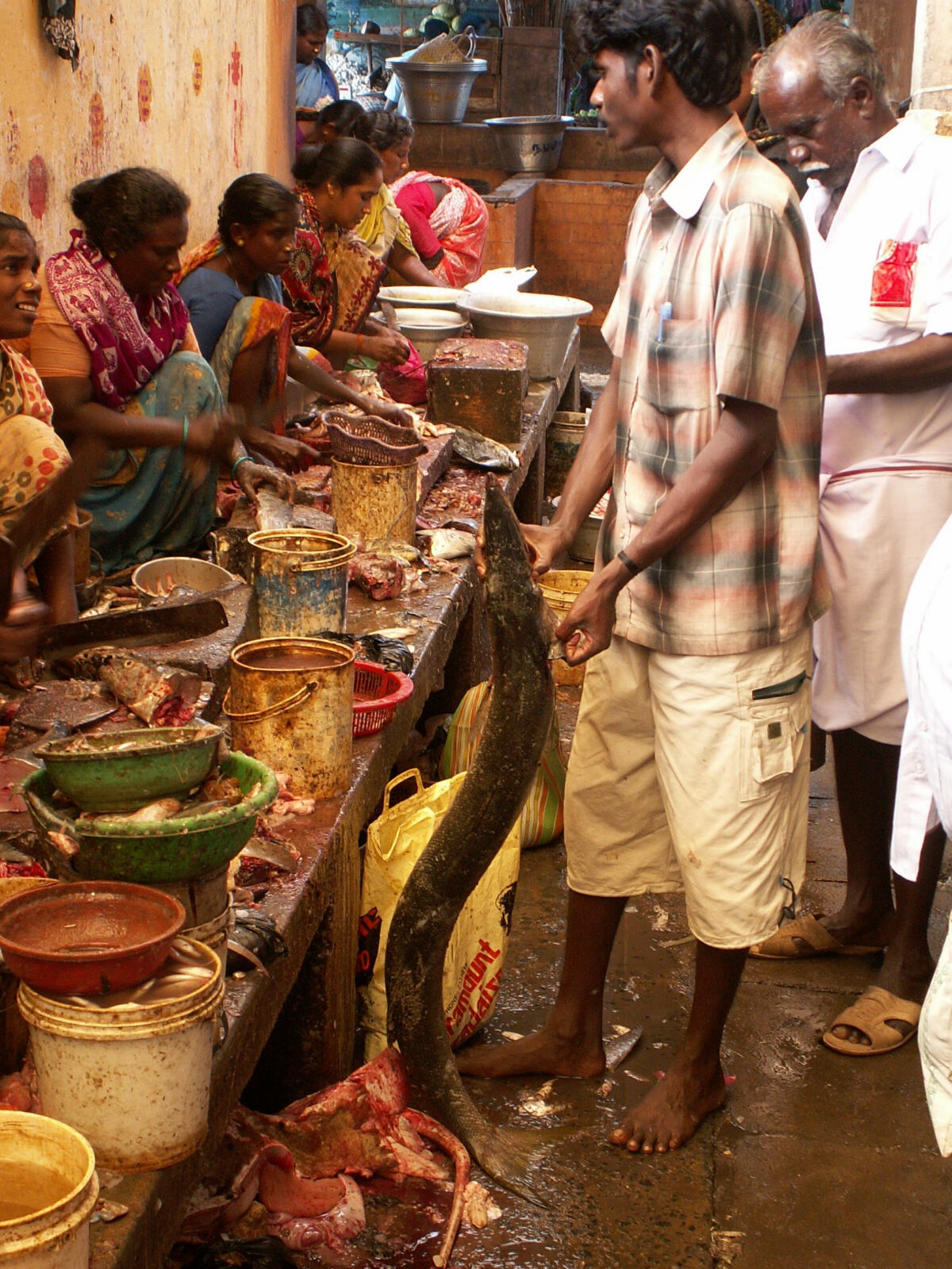 In the fish market in Pondicherry, India