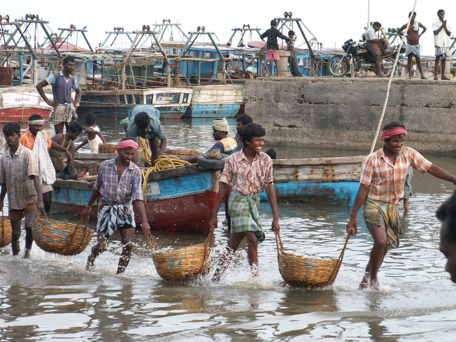 Unloading fish at Rameswaram, Tamil Nadu, India