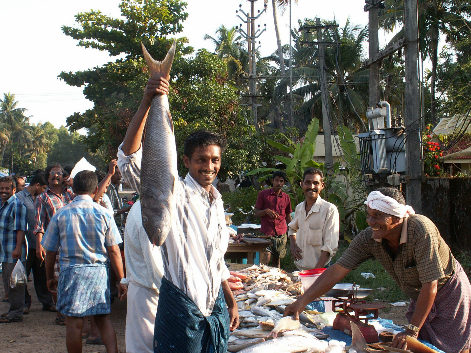 A roadside fish market in southern Kerala, India