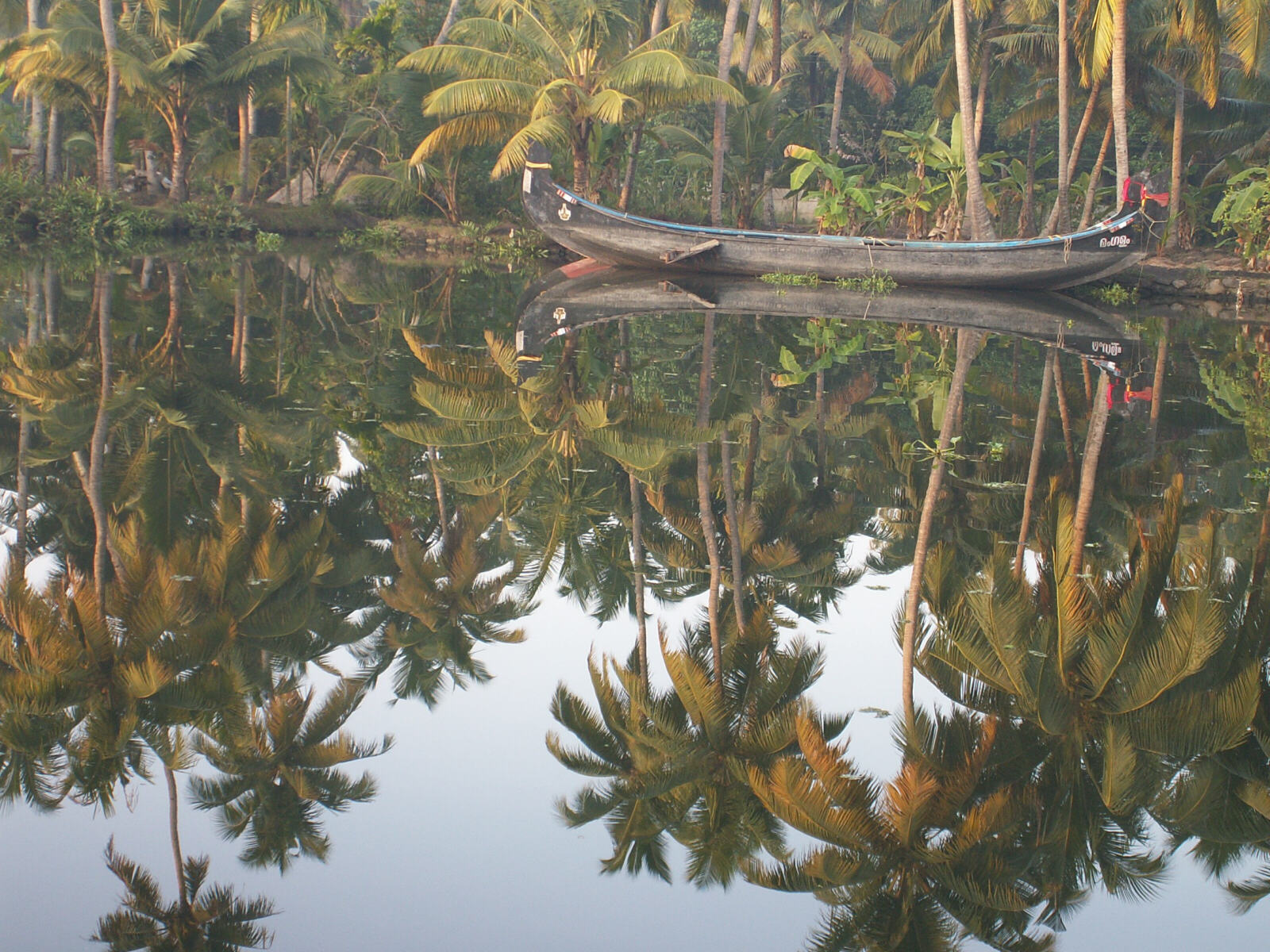 On the backwaters in Kerala, India