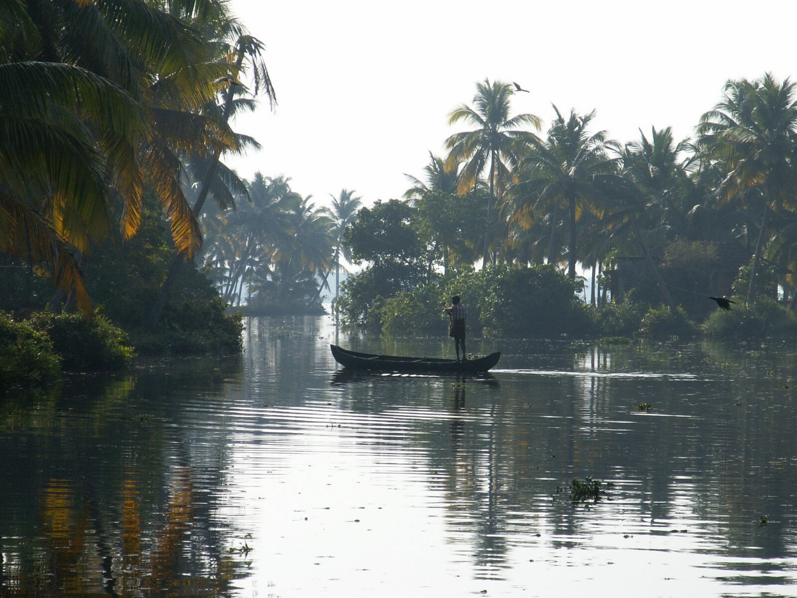 On the backwaters in Kerala, India