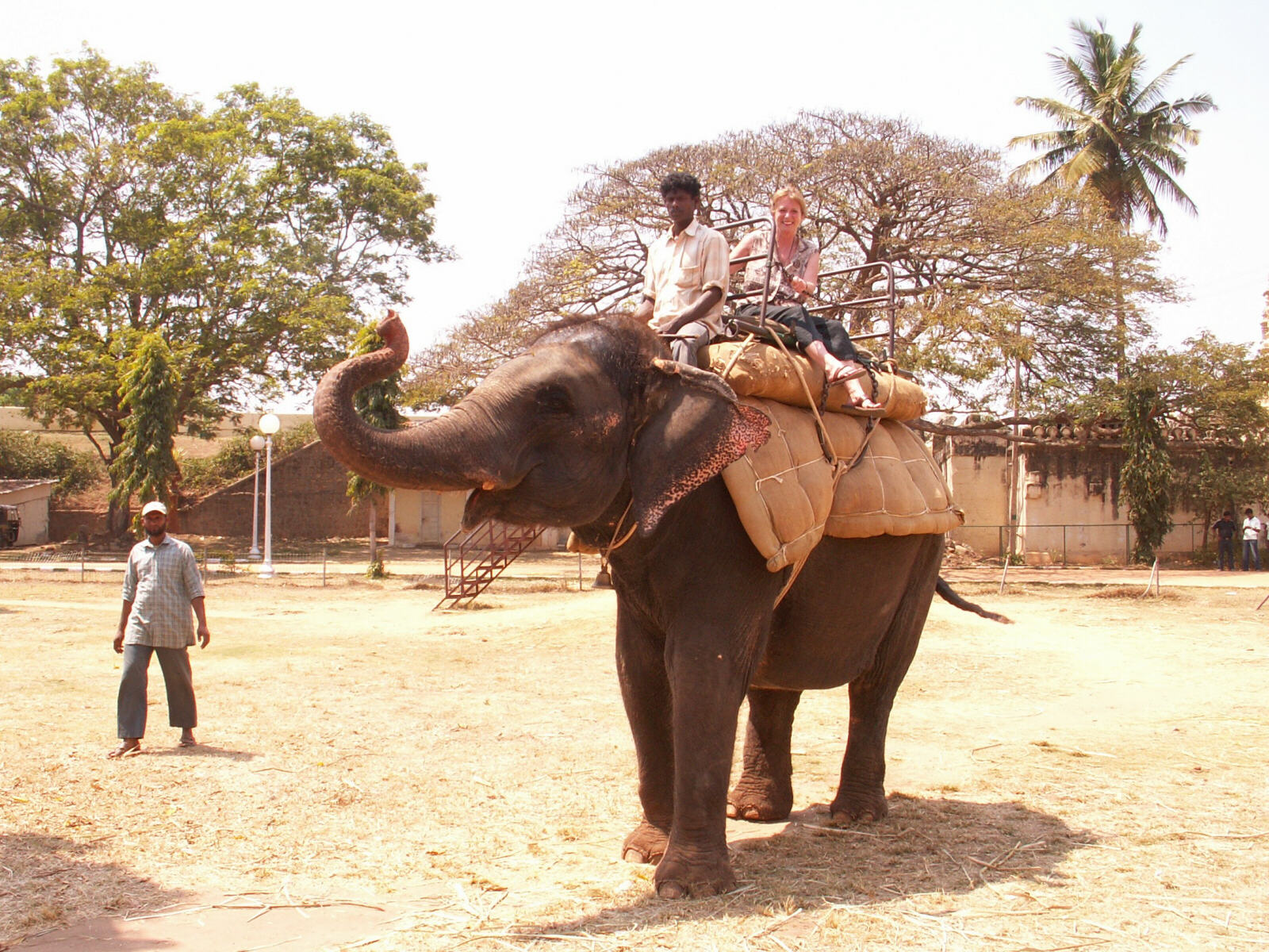 Elephant ride at Mysore Palace, India