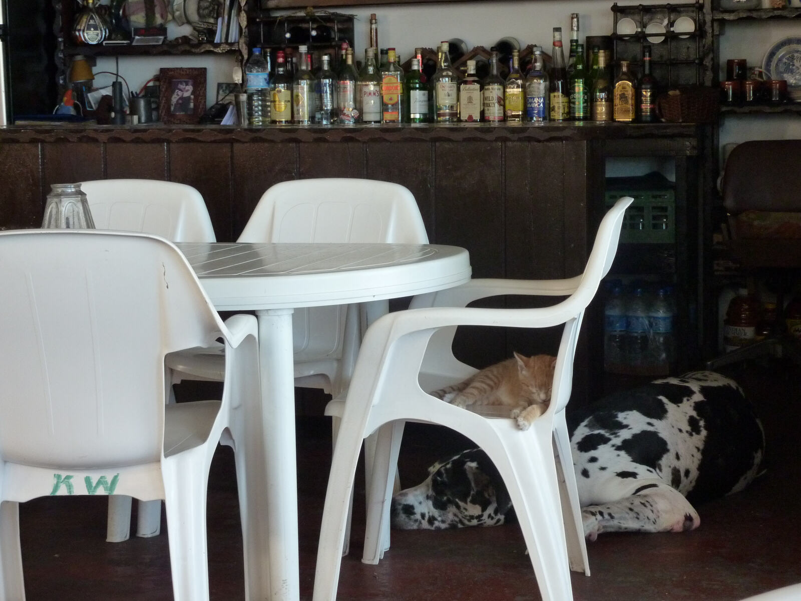 The bar in Kings Well hotel, Statia, Caribbean