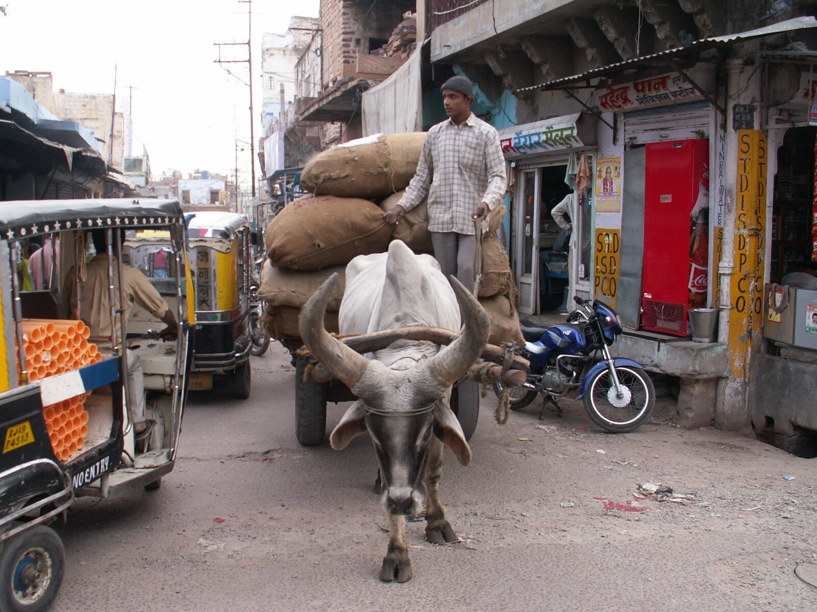 An ox cart in a street in Jodhpur, Rajasthan