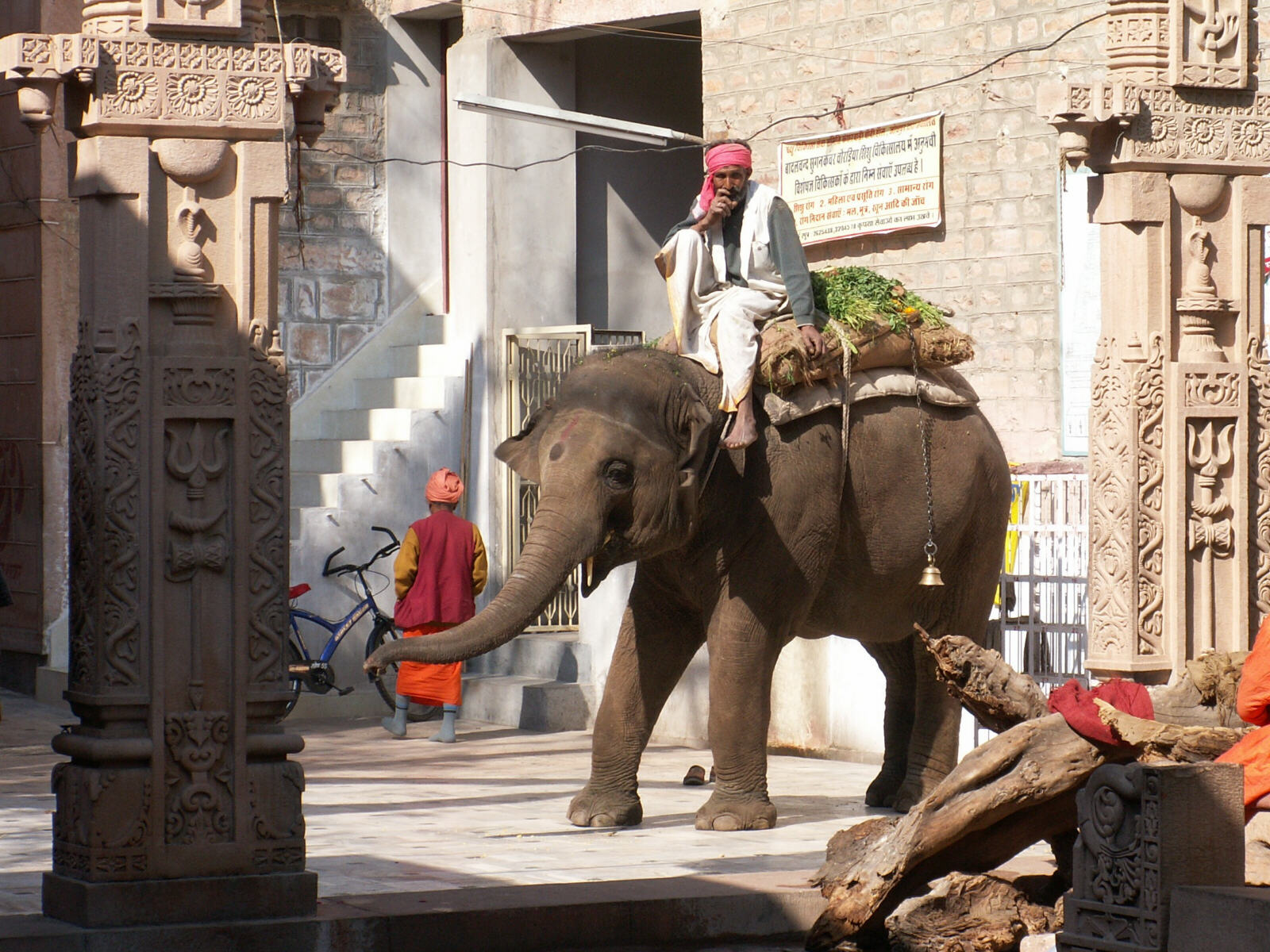 An elephant walking down a street in Jodhpur, Rajasthan