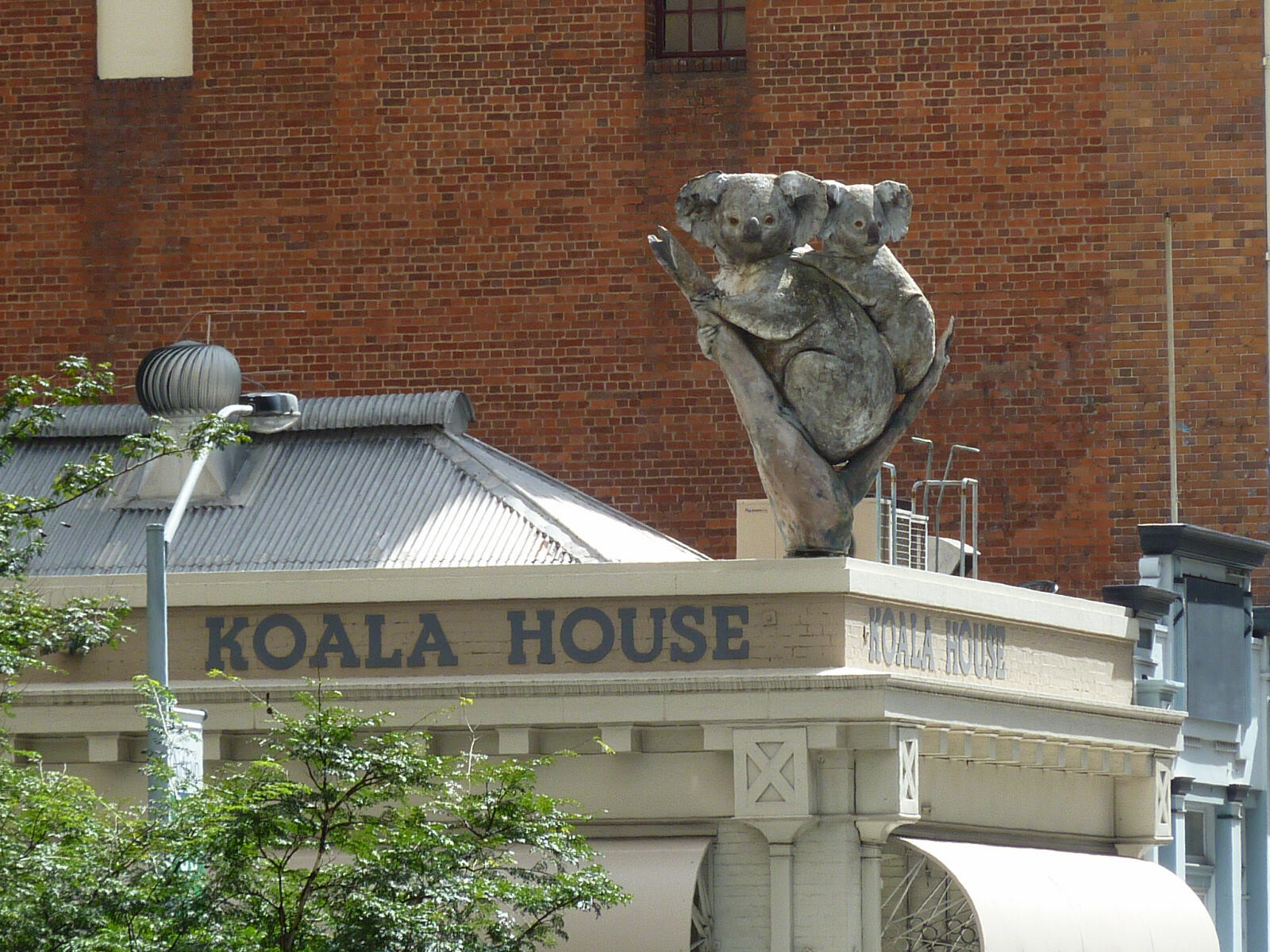 The Koala House near the waterfront in Brisbane