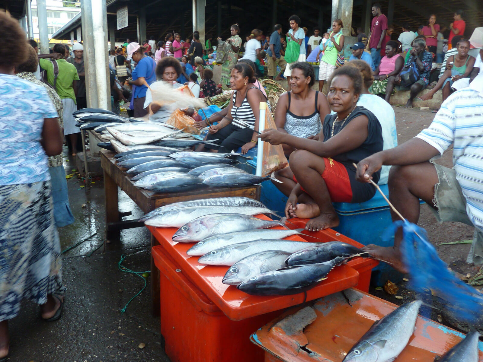 In the fish market in Honiara, Solomon Islands
