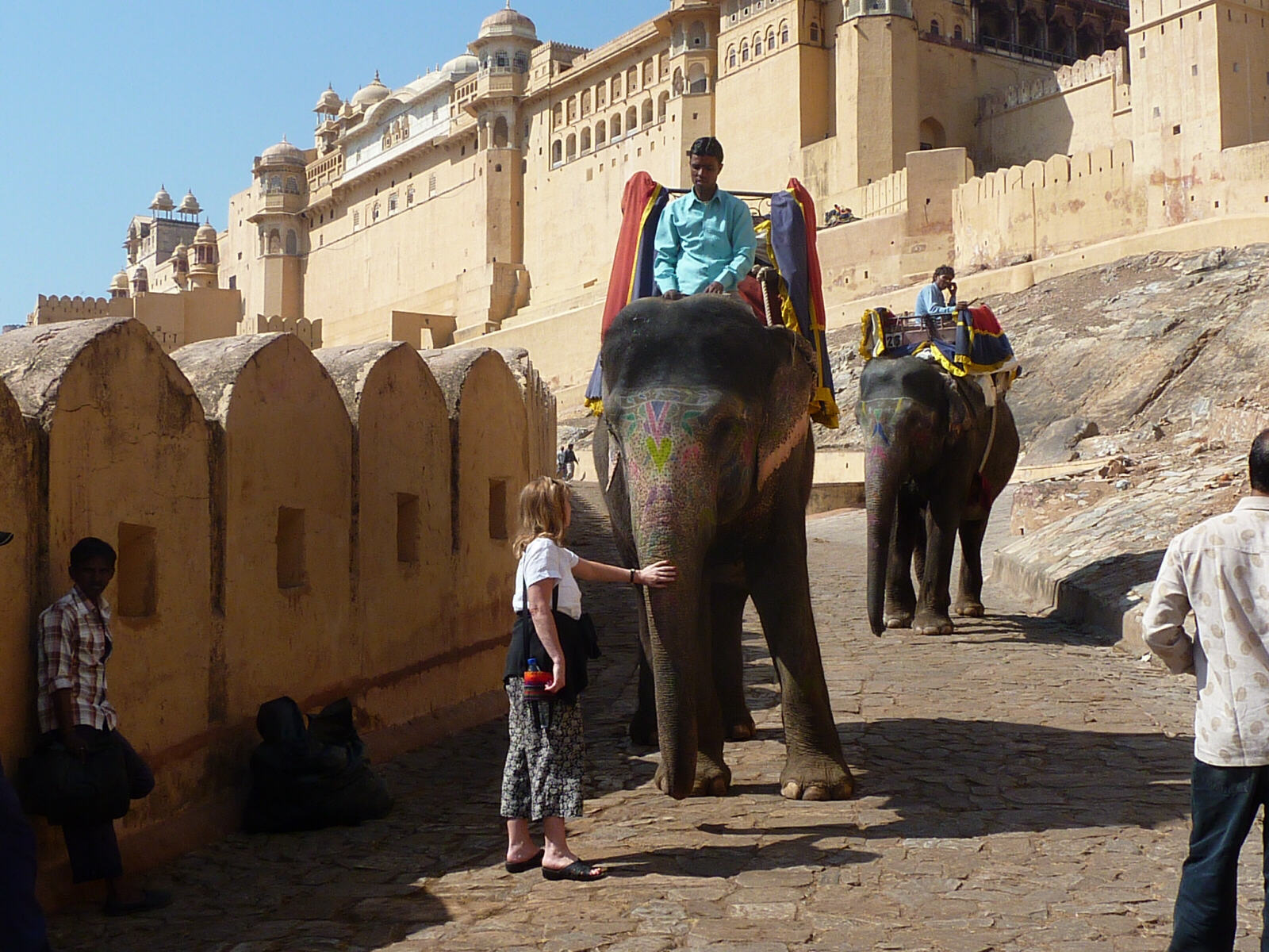 Elephant transport to Amber palace in Rajasthan, India