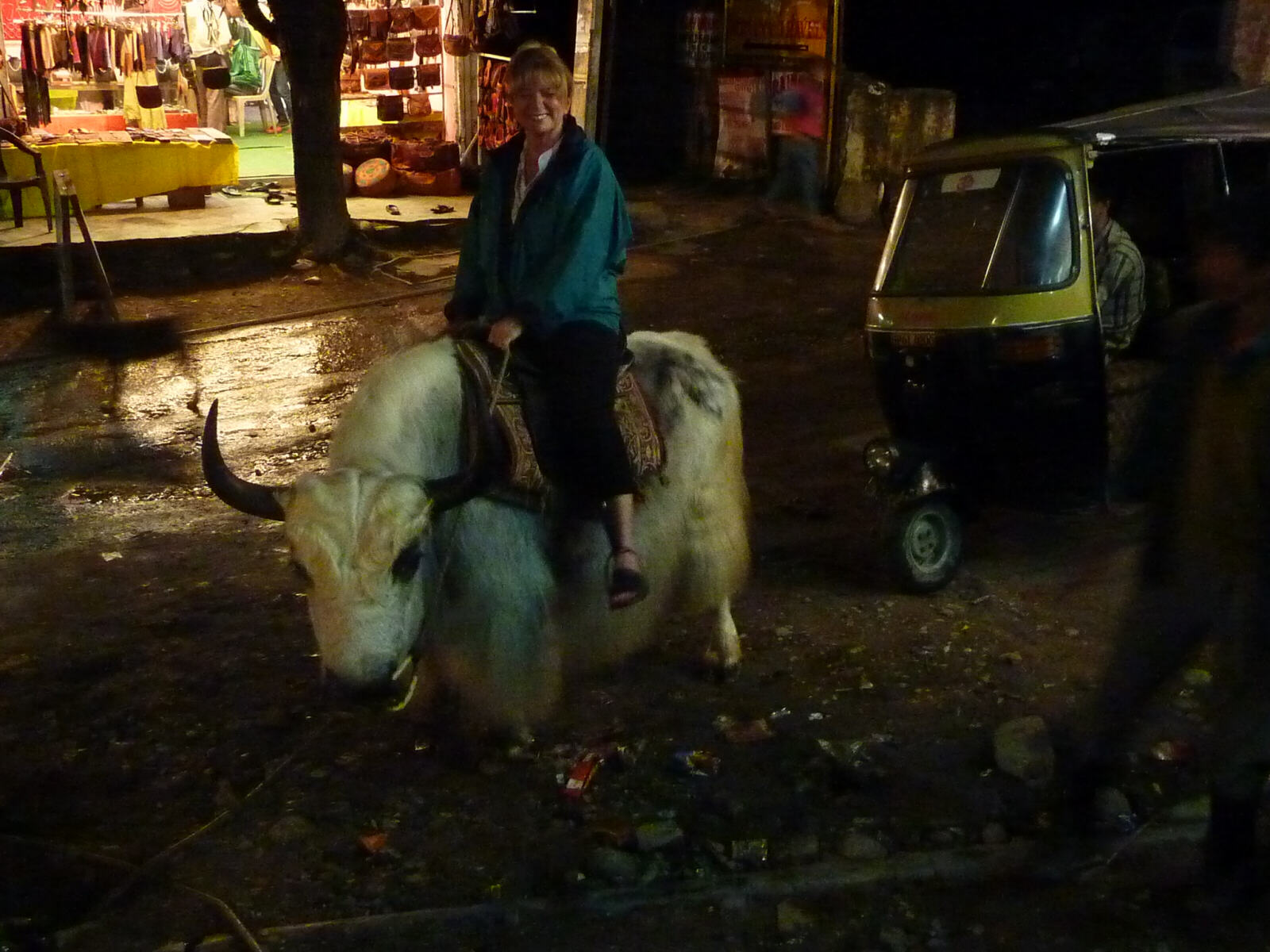 Sheila's Yak ride in Manali, Himachal Pradesh, India