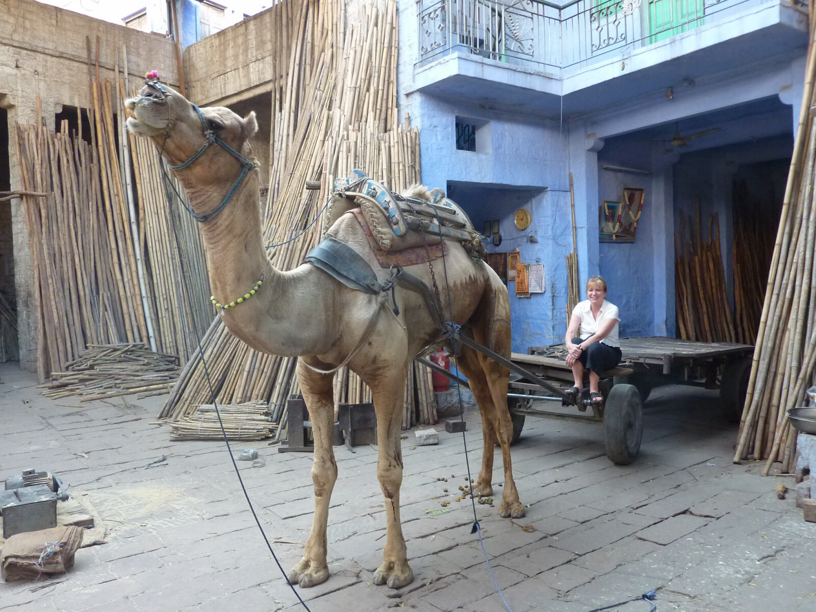 A camel and a cart in an alleyway in Jodhpur, Rajasthan