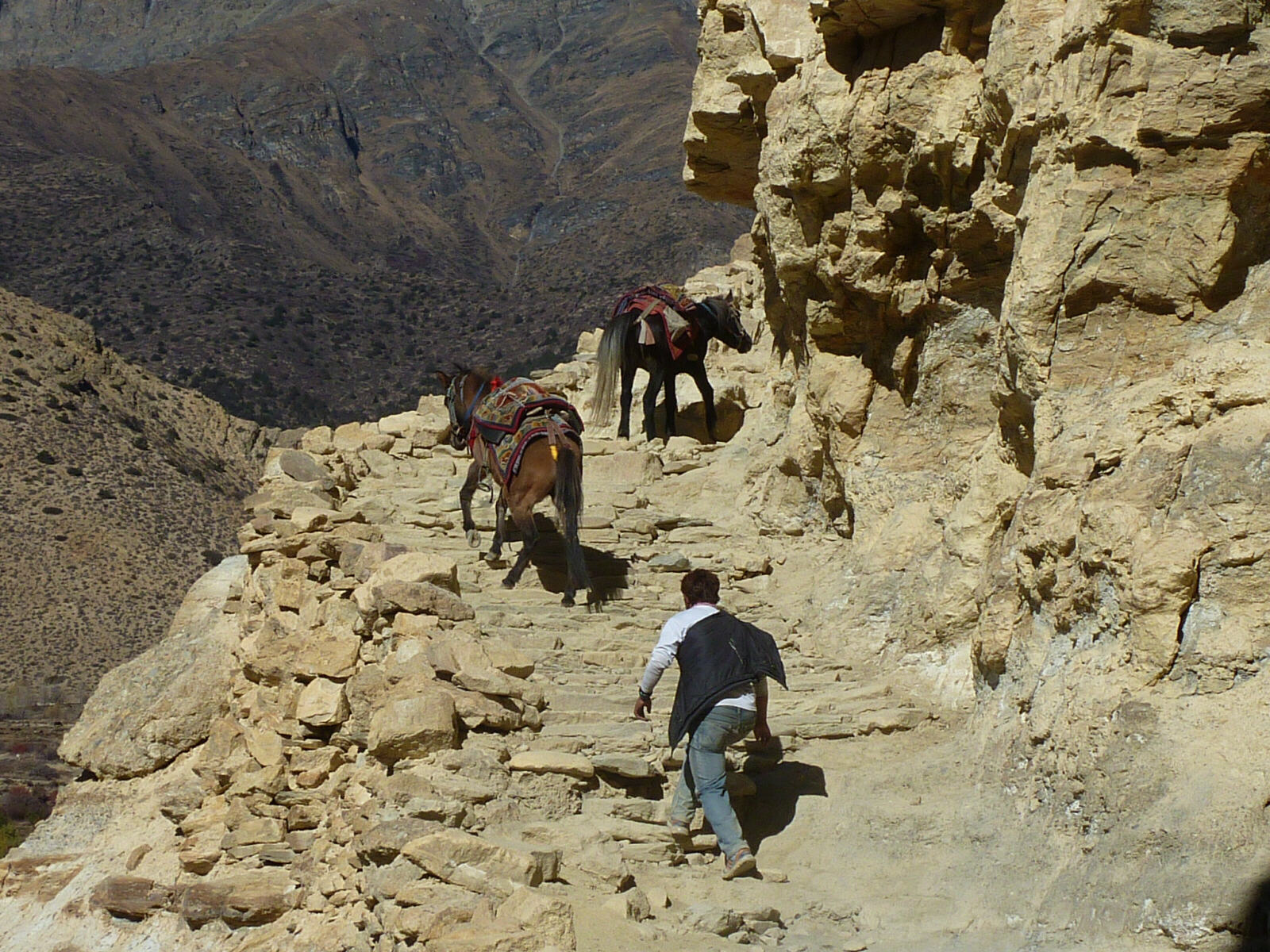 Uphill struggle between Chele and Syangboche, Nepal