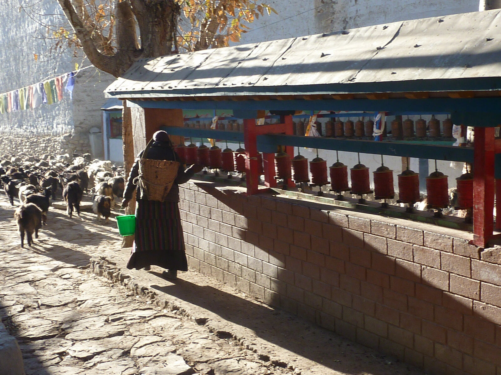 A goatherd spinning prayer wheels at Lo Manthang, Nepal