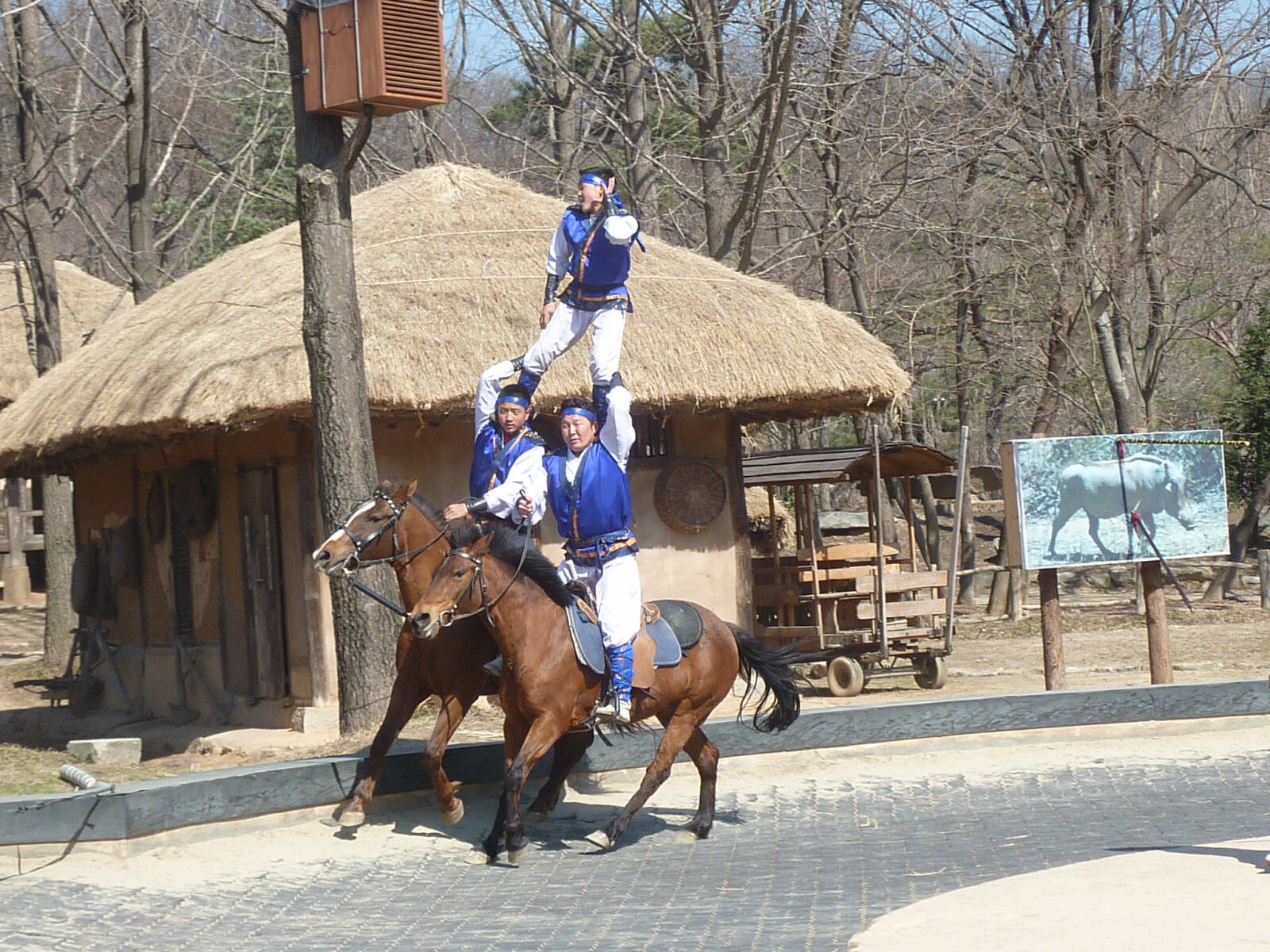 Stunt horse riding at Suwon Folk Village, South Korea