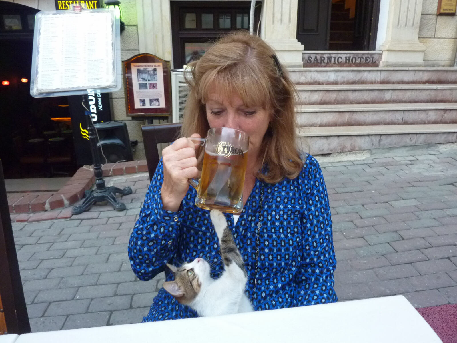A thirsty cat at the Seyyah Pub in Istanbul