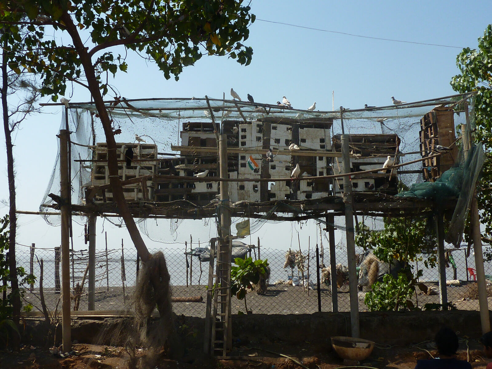 Pigeon houses on the beach in Daman, India