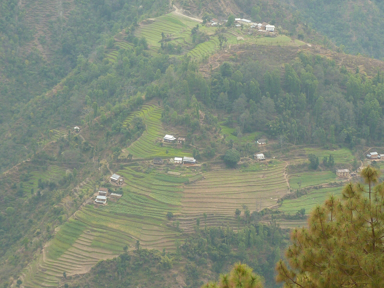 Terraced fields in the mountains in Nepal