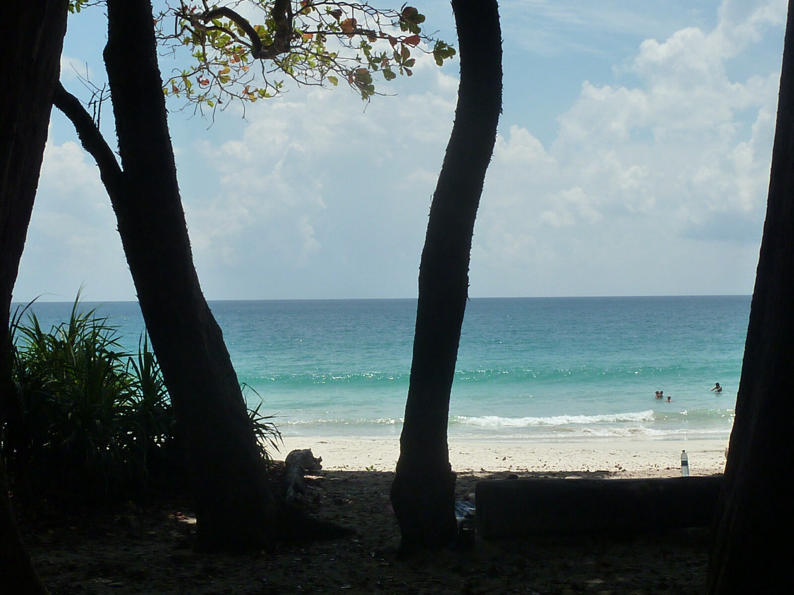 Beach seven on Havelock Island, Andaman, India