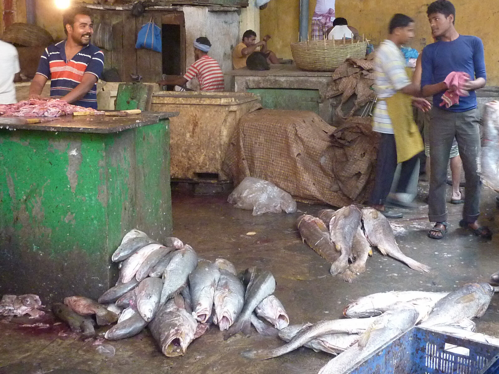 In the fish market in Calcutta, India