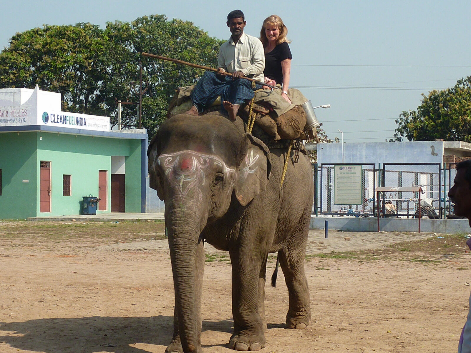 An elephant ride on the road to Varanasi, India