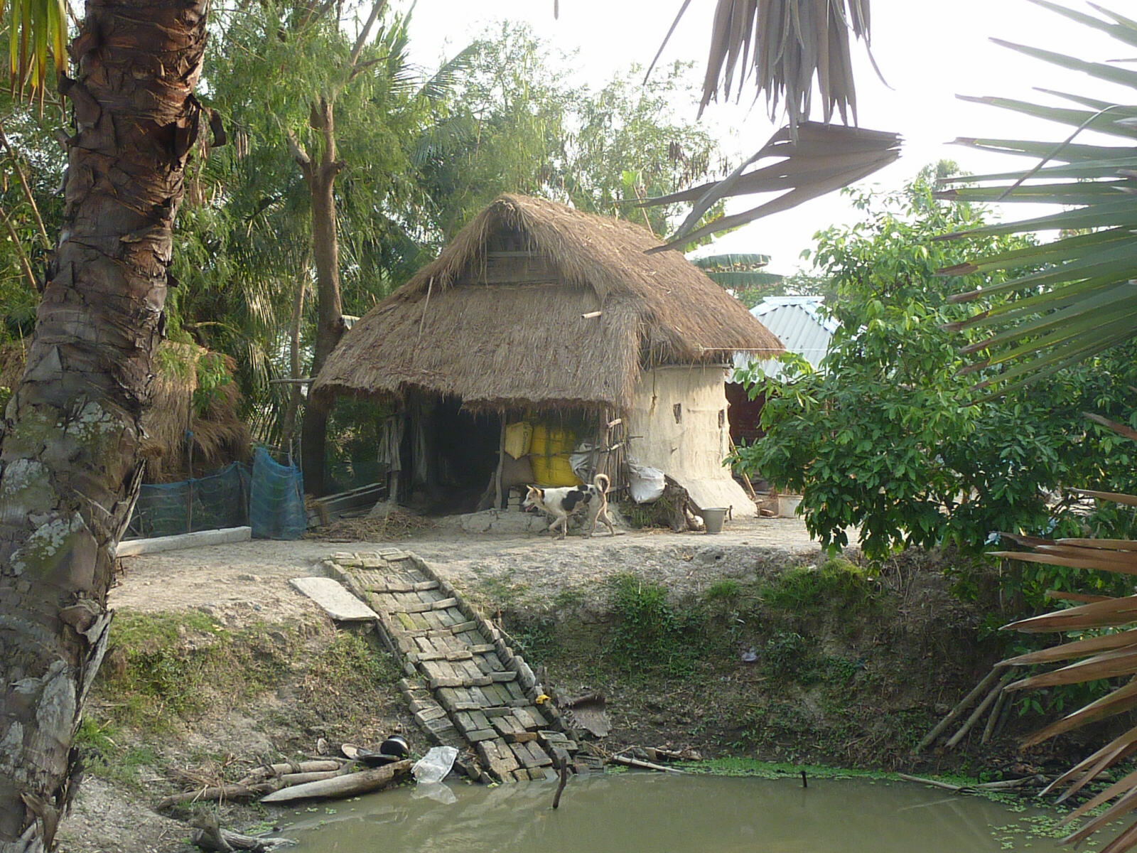 A village in the Sundarbans, West Bengal, India
