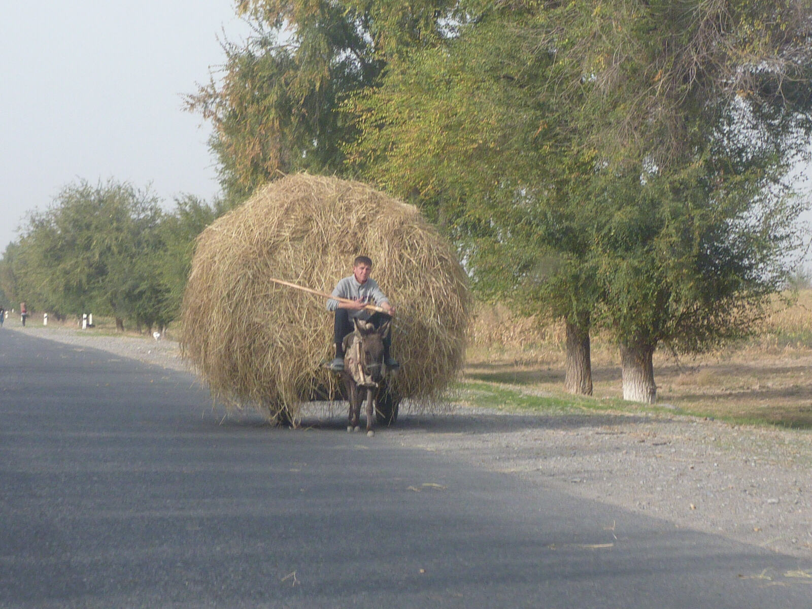 A hay cart on the road in Central Asia