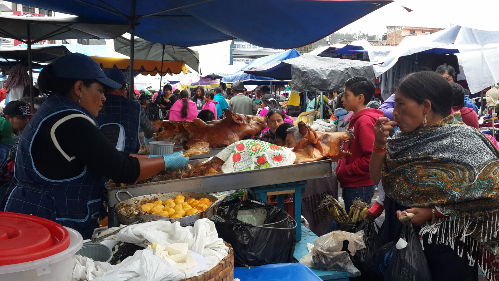 Roast pork in Otavalo market, Ecuador