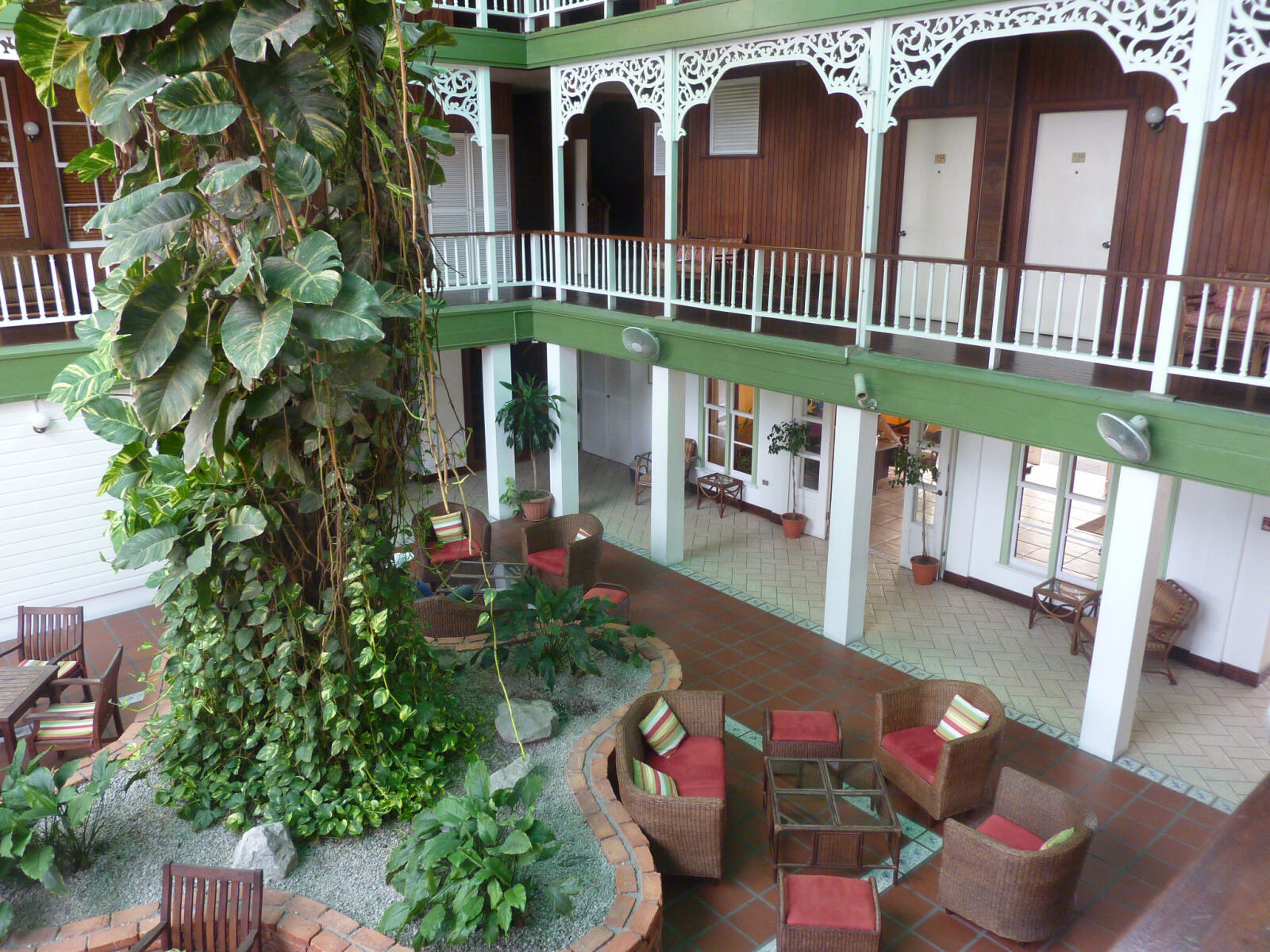 The mango tree in the Cara Lodge hotel, Georgetown, Guyana