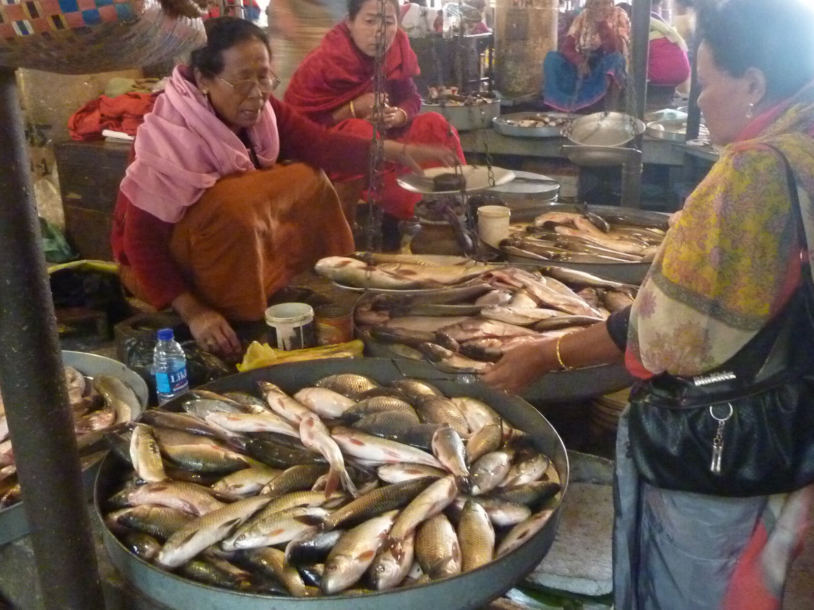 Fish market in Imphal, Manipur state, India