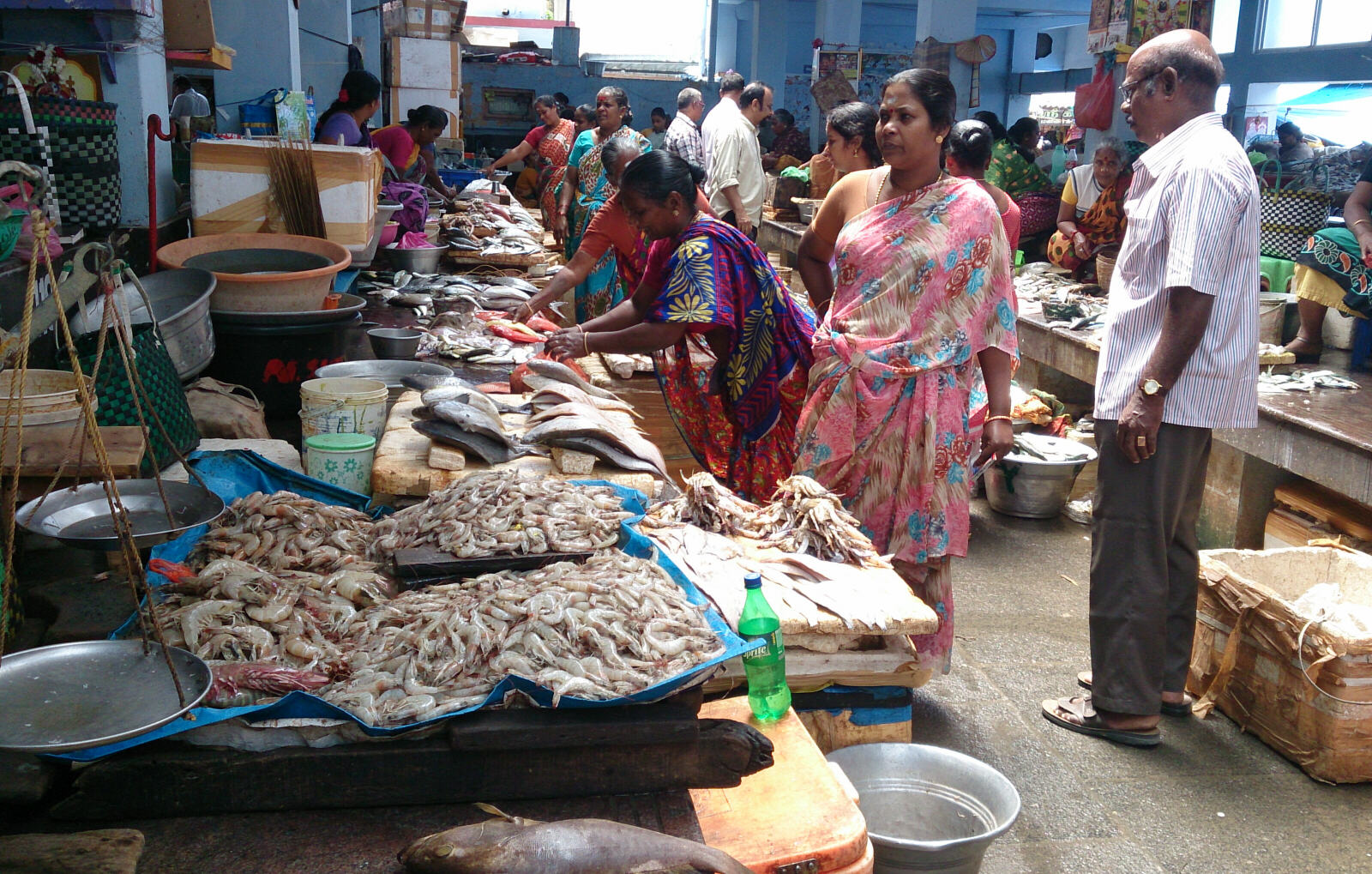 Fish market in Pondicherry, India