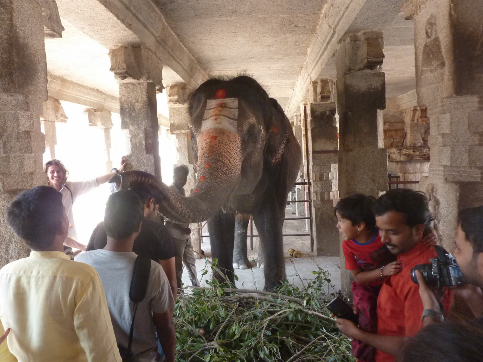 Laxmi the temple elephant in Virupaksha temple, Hampi