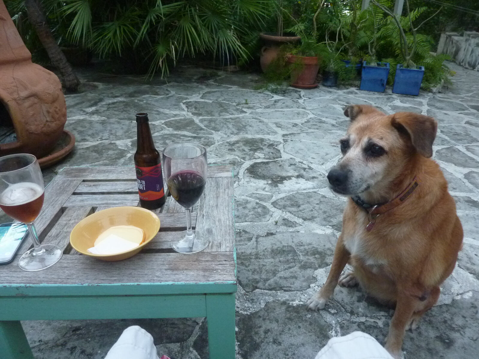 Drinks in the garden at the Airbnb in Providenciales, Turks and Caicos
