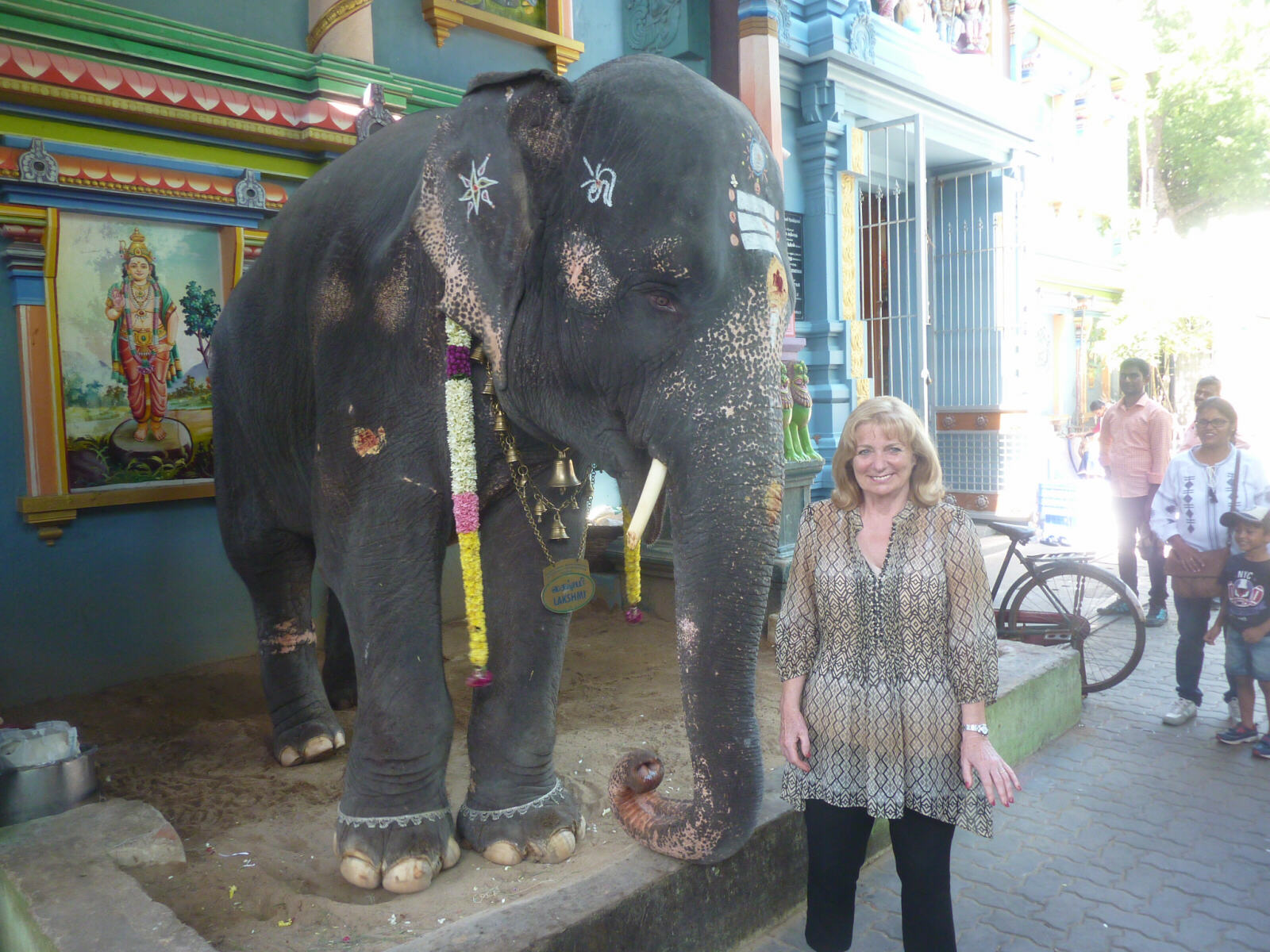Lakshmi the temple elephant at Manakkula Vinayagar temple, Pondicherry