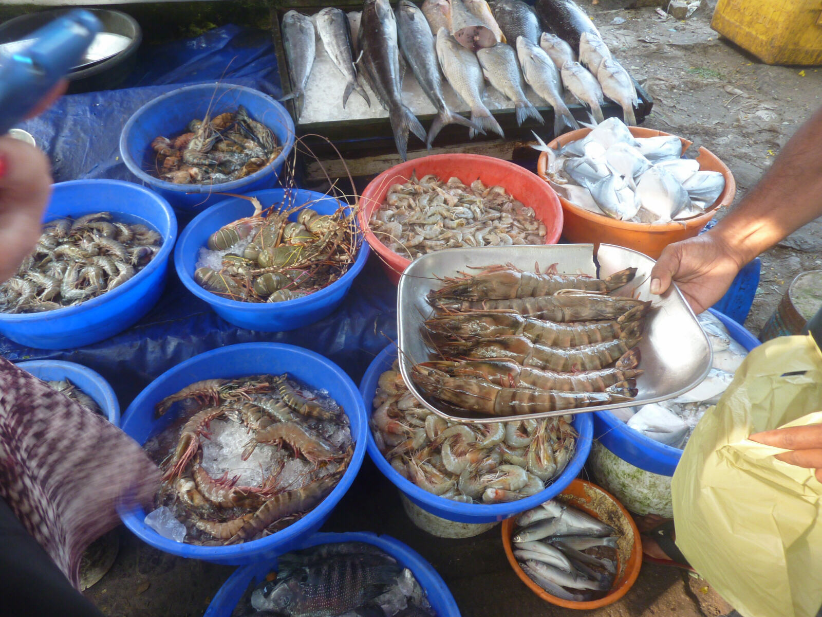 A fish stall on the waterfront at Kochi Fort, Kerala