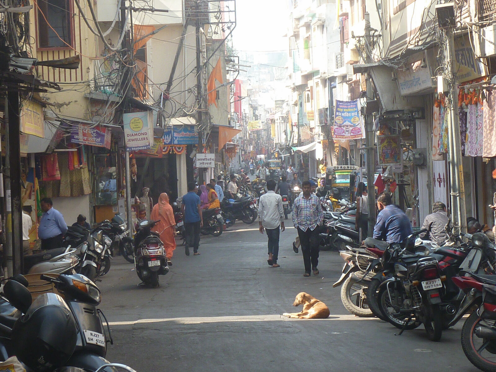 Dog sunbathing in Bara Bazaar, Udaipur, Rajasthan