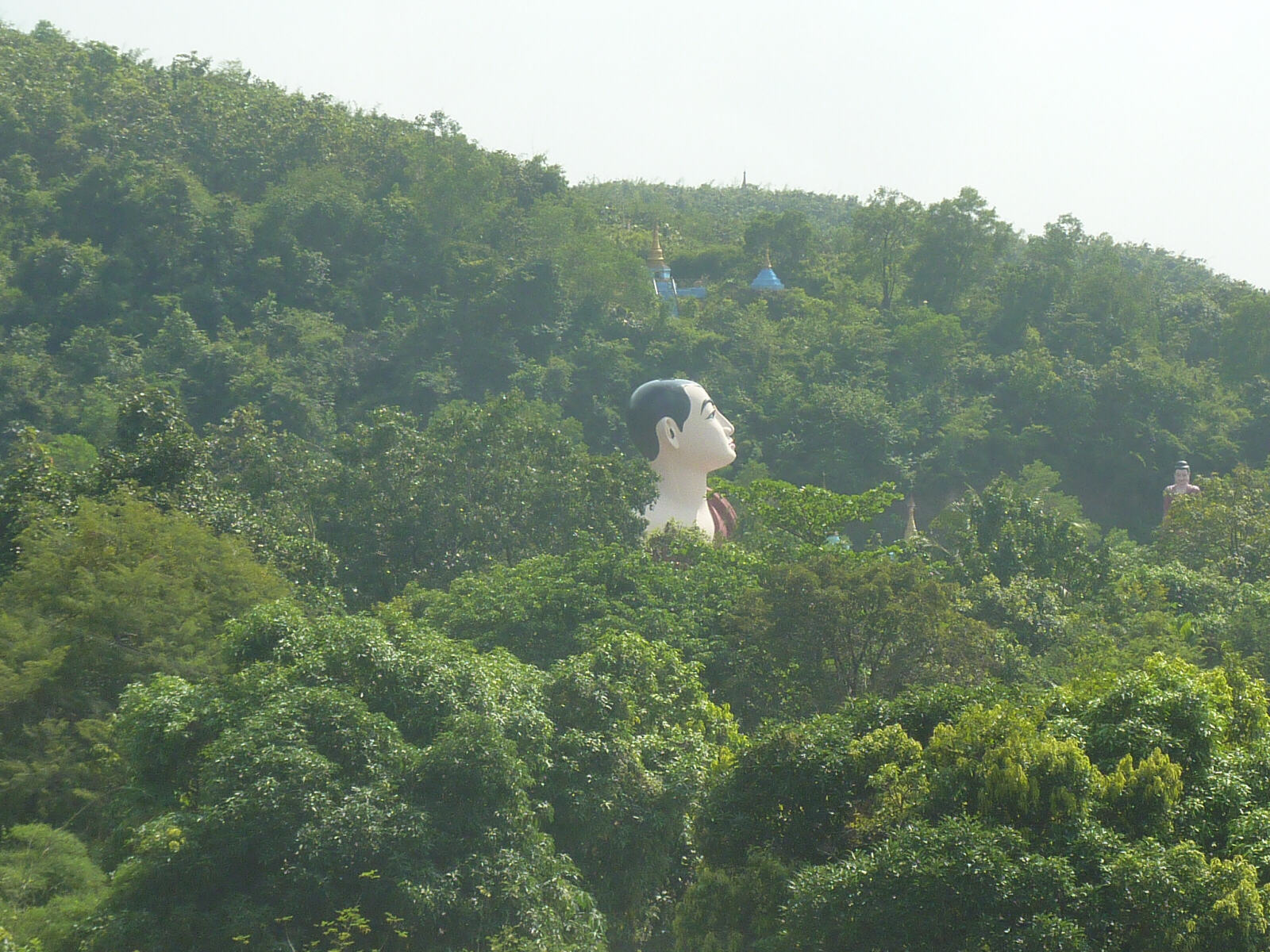 Giant Heads in the trees at Win Sein, Burma